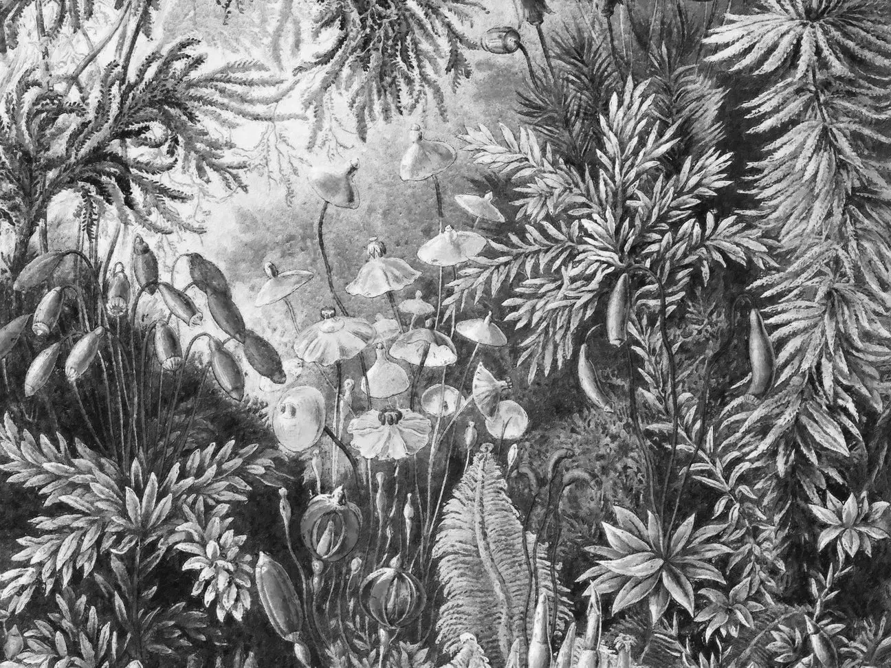 Tapeta Wall Art Fairytale B&W - standaryzowane rolki - obrazek 2